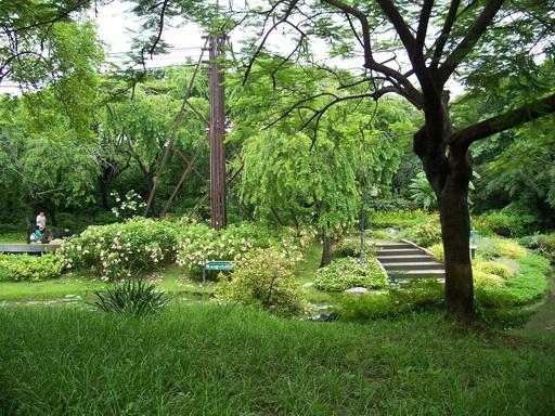 104_7367.jpg